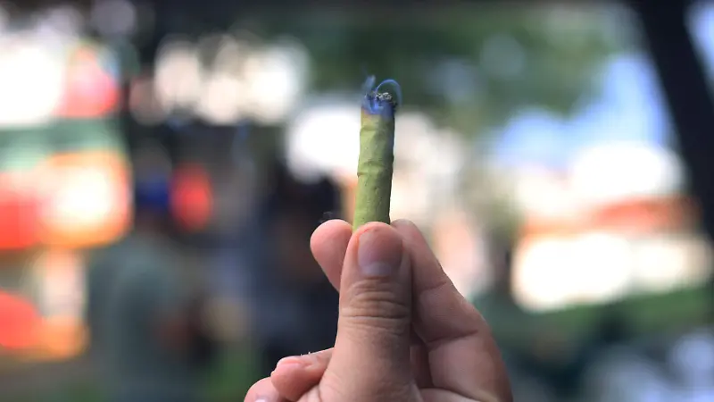 cannabis marihuana mariguana 